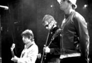 -circle of oasis-