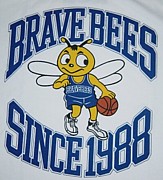 BRAVE BEES