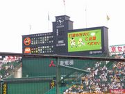 福岡の阪神タイガースファン