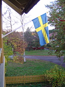 スウェーデンなんじゃらホイ！
