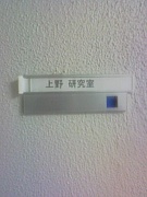 �����Ƹ���鸦�漼
