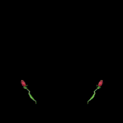 ⤷ٶ