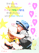 ������硧�кѡ�2008��