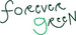 FOREVER GREEN