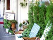 �إ륷����