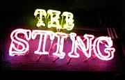 ޥåС THE STING