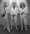 Trio the Dog Horns