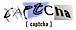 captcha��ѥ��Ǥ��ʤ���