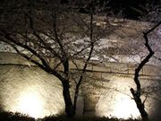 ノリオ★デ★ジャネイロ
