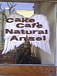 CakeCafe NaturalAngel