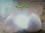 ������ع�������ʪ���ز�