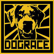 DOG RACE