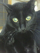 ������������ή�ۡ�