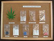 Drug Culture