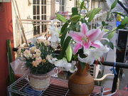 ��Ũ�����ۤ�