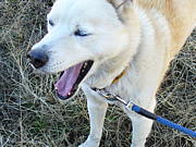 M������Υ��ߥ�˥ƥ���