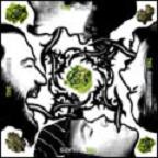 THE SALADS