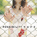 POSSIBILITY