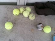 �ܤ�������ߥƥ˥������