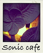 Sonic cafe®ϭ