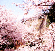 ���£���ǯ��������ޤ�