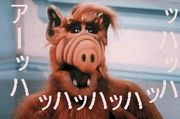 Фߤޤޤ!!
