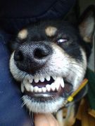 �Ρ����������漼