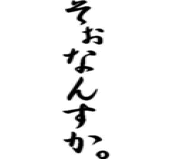 ��˾夫������