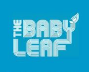 The Baby Leaf Mixiコミュニティ