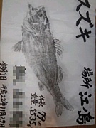 片瀬・ソルトフィッシング部