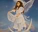 Wish Angel