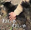 �路��路�㤵���Τ�����