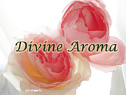 Divine Aroma