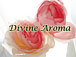 Divine Aroma