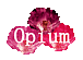 Salom"Opium"