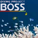 DIVING PROJECT BOSS