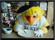 ʡSoftBank HAWKSϢ