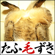 �����Ӥ������á�