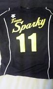 Team Sparky（ソフトバレー）