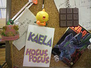 �Ƕᡢ���粽�زʤǤ����ɲ�����