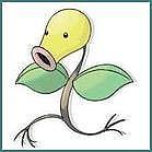 �ޥ����ĥܥ�