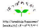˸ꥫեϤäѤΤ