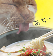 ǭ�顼���