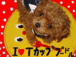 Ｉ love teaCup Poodle