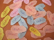 co-tri �Υ��ȥ��