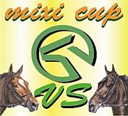 MRAmixi CUP