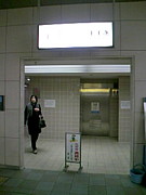 äԤƱƲ