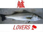 鱸LOVERS in mixi