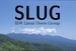 SLUG -  Linux Users Group