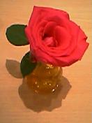chainee